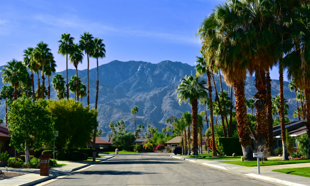 Palm Springs road lined with Palm trees and mountains in the distance.