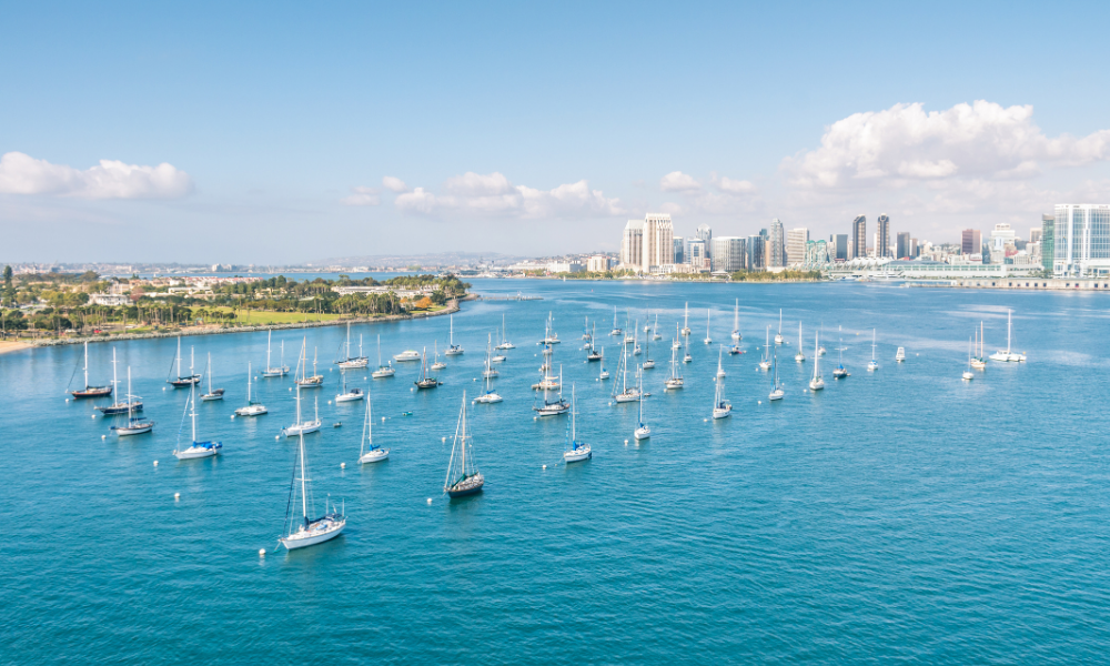 San Diego bay filled with sailboats