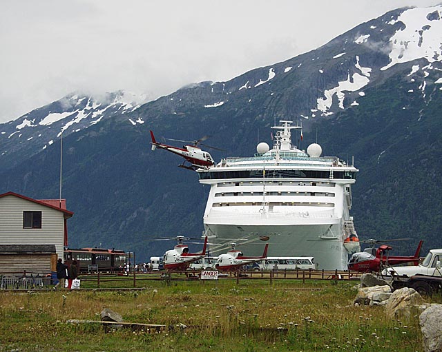 cruises that go to denali national park