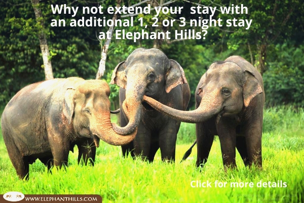 Elephant Hills Thailand