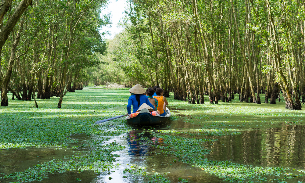 People traveling through the lush greenery of the Mekong Delta in Vietnam on a traditional wooden boat.