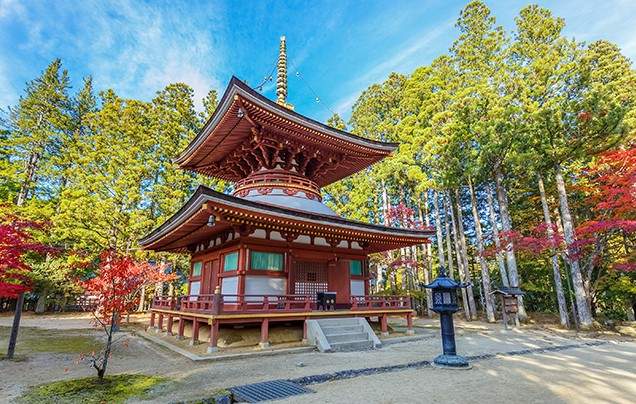 Discover Japan -an escorted tour by Wendy Wu