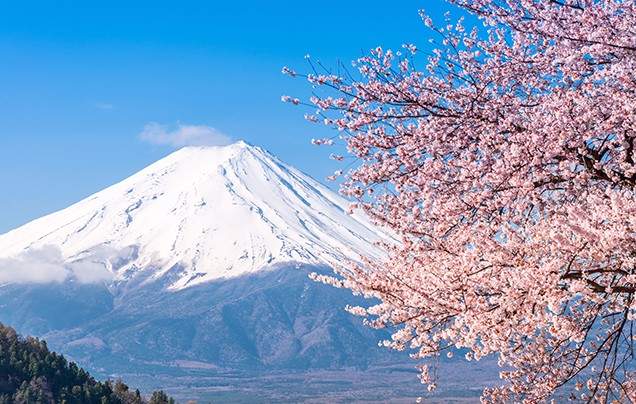 Discover Japan -an escorted tour by Wendy Wu